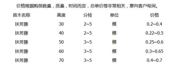 沭陽最新的扶芳藤報(bào)價(jià)