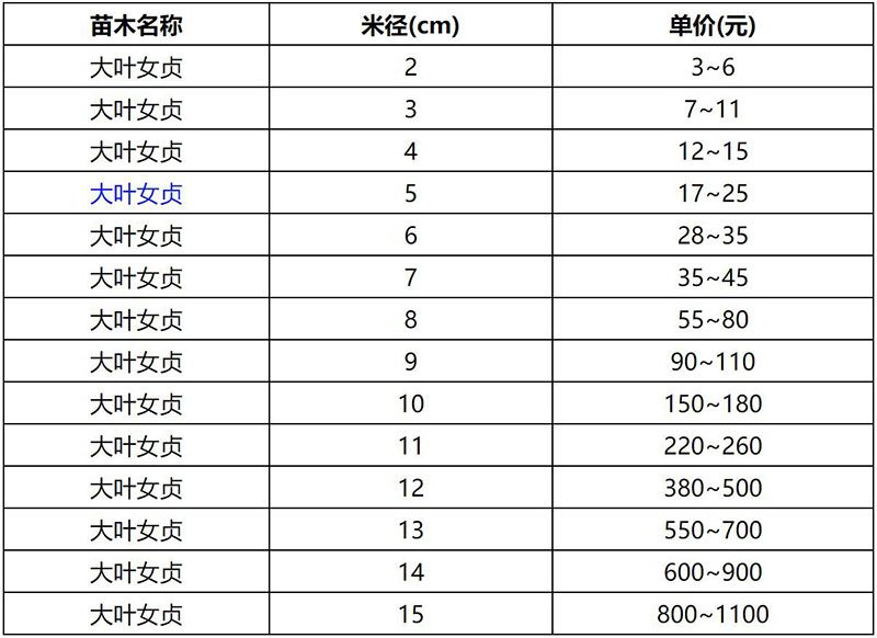 2022年春季大葉女貞報(bào)價(jià)表